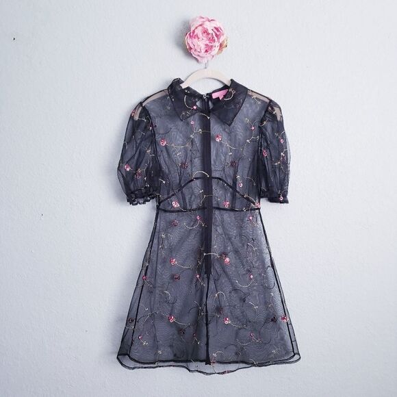 Sugar Thrillz Dresses & Skirts - Sugar Thrillz Homemade With Love Organza Mini Embroidered Dress